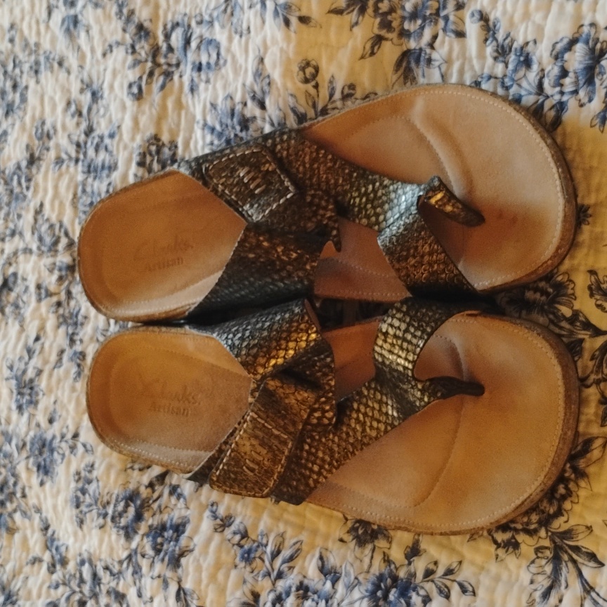 Clarks Artisans Lizard Style